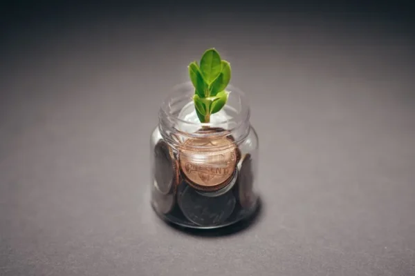 Green plant growing from a jar filled with coins, symbolizing financial growth and investment.